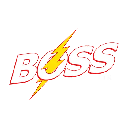 BOSS LIGHT TOWER RENTALS LLC