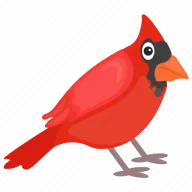 Redbird Roofing & Exteriors