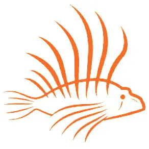 Lionfish Cyber Security