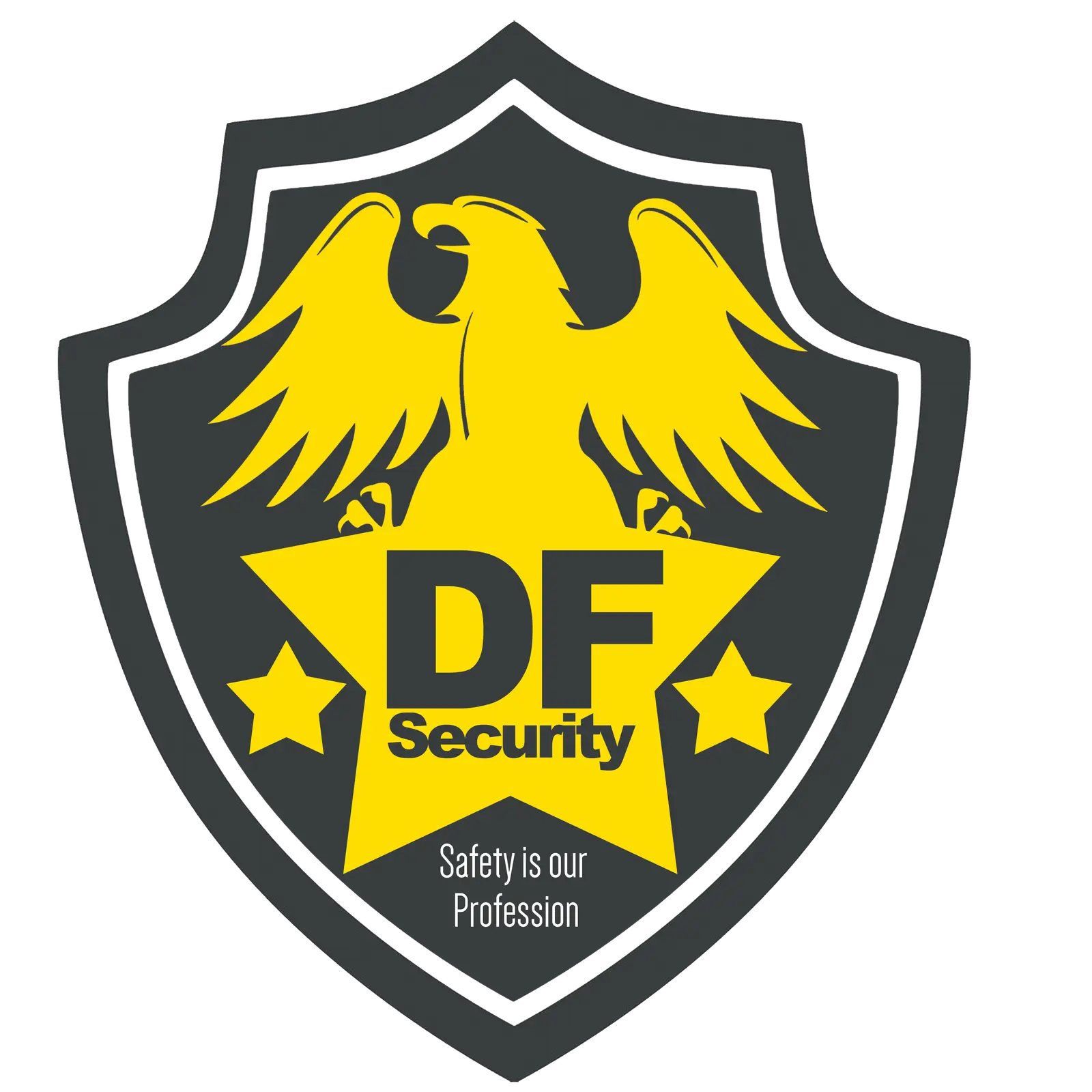 DF SECURITY LLC