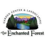 The Enchanted Forest