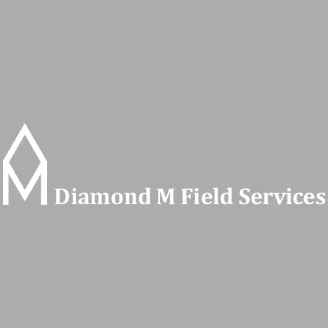 DIAMOND M FIELD SERVICES LLC