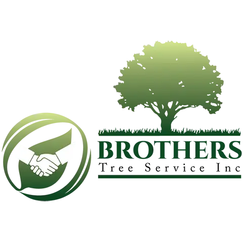BROTHER'S TREE SERVICE INC