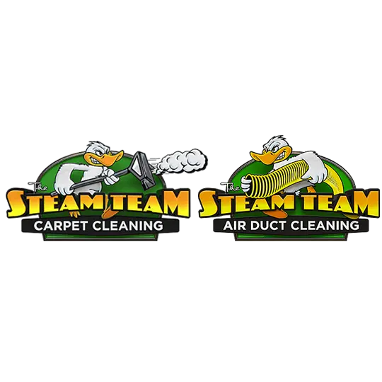 Steam Team