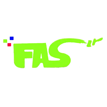 FELIPE & SONS PAINTING SERVICES LLC