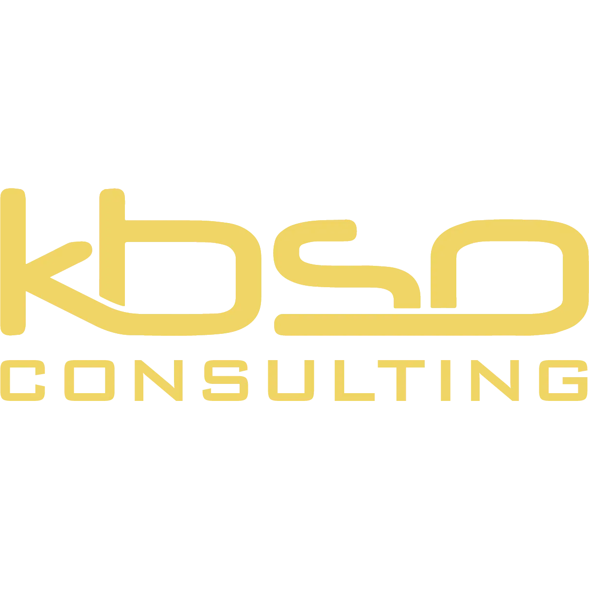 Kbso Consulting, LLC