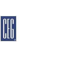 The Consulting Engineers Group, Inc.
