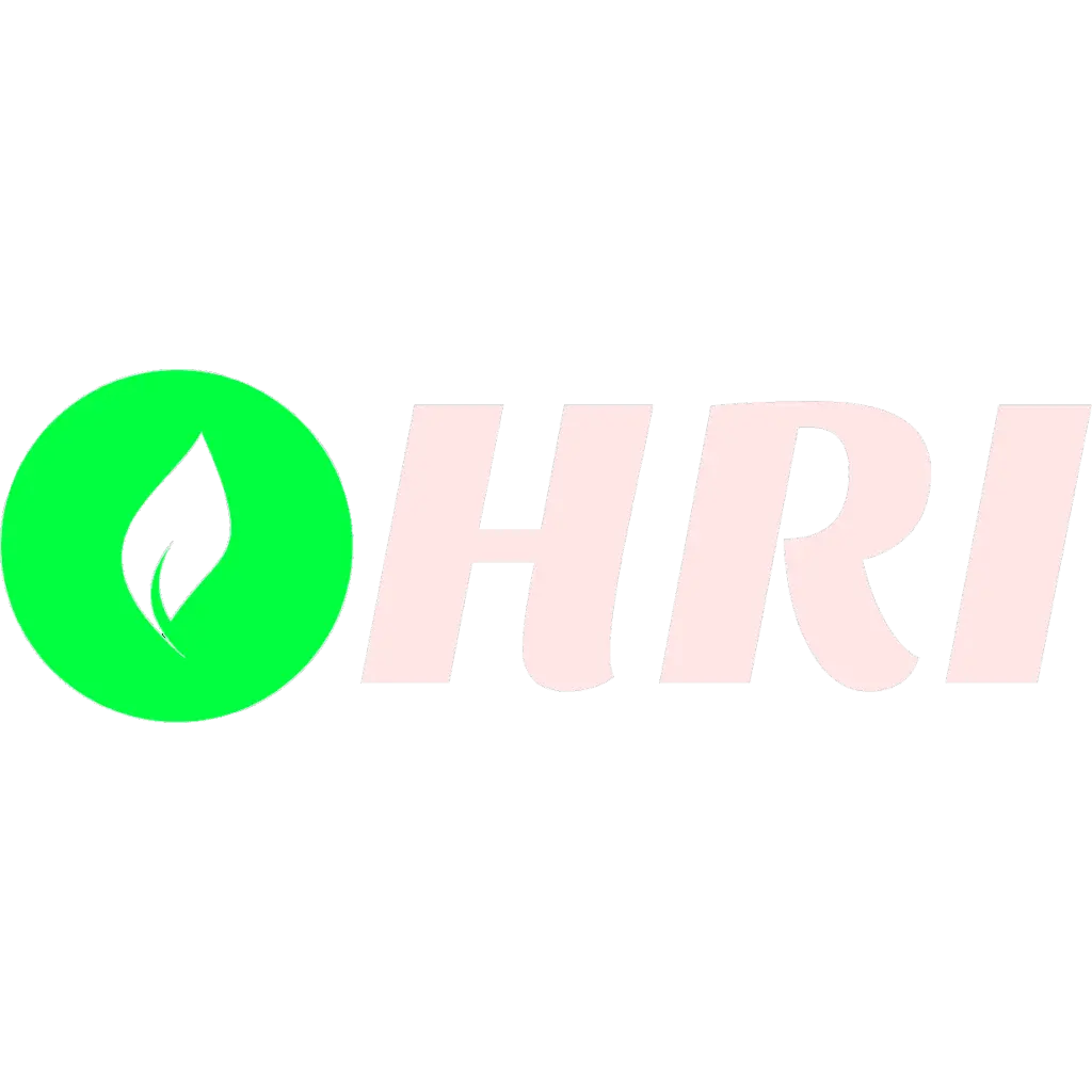 HAMPTON ROADS INSULATION LLC