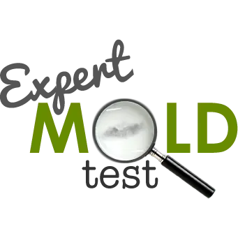 Expert Mold Test
