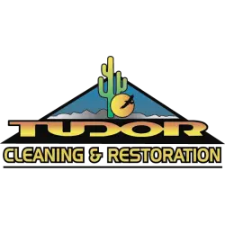 Tudor Cleaning & Restoration