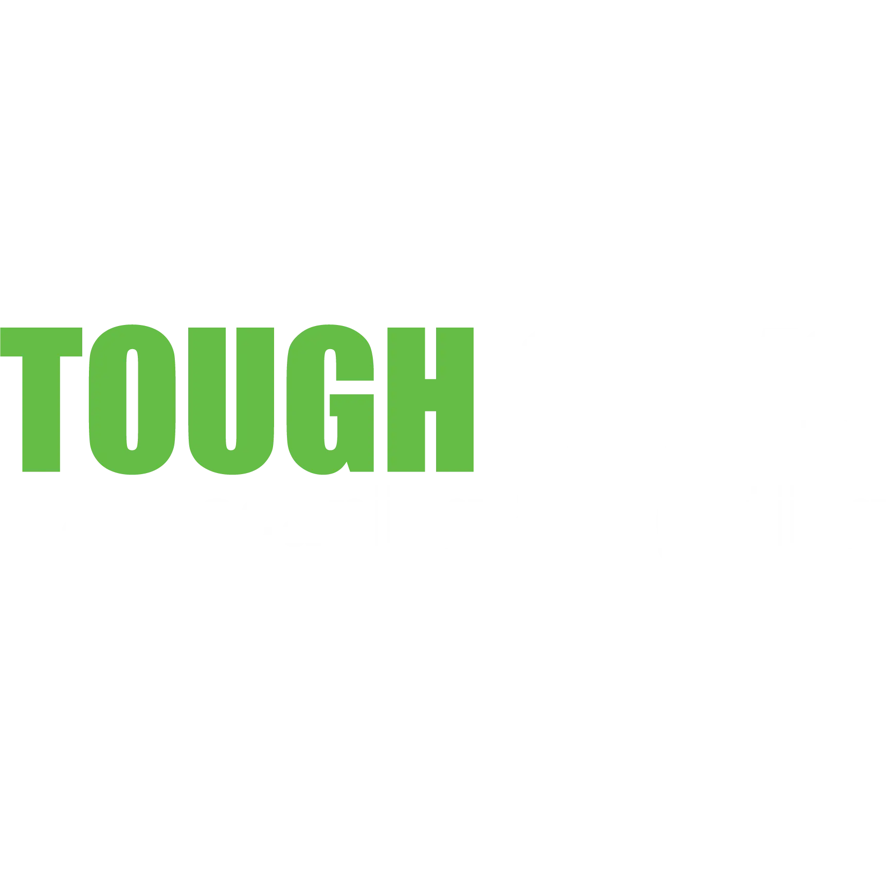 Tough Guy's Landscaping & Lighting