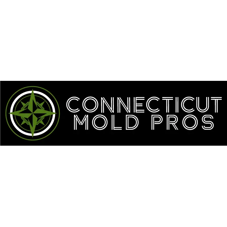 CT Mold Pros