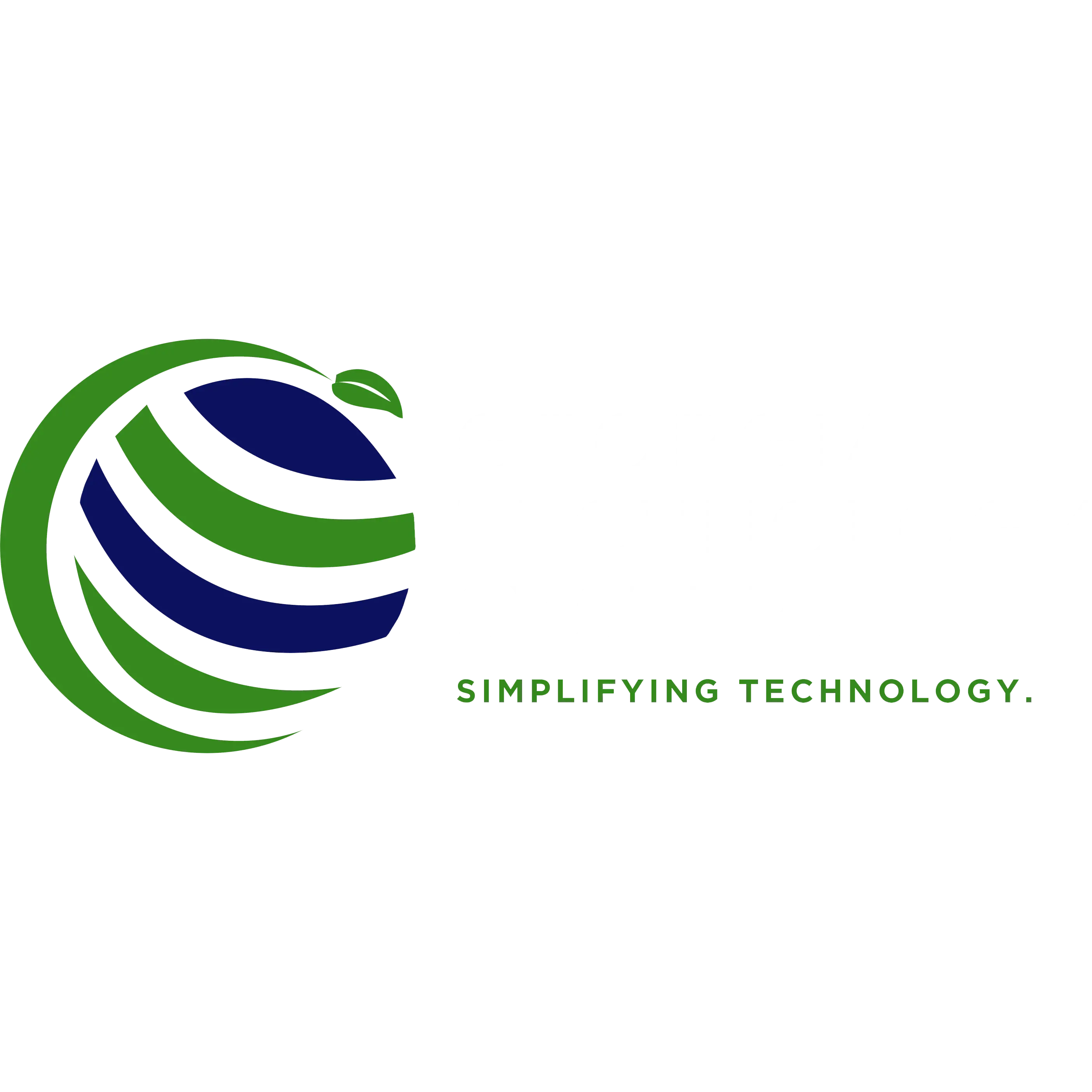 Georgia Technology Systems