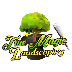 True Magic Landscaping Design & Build