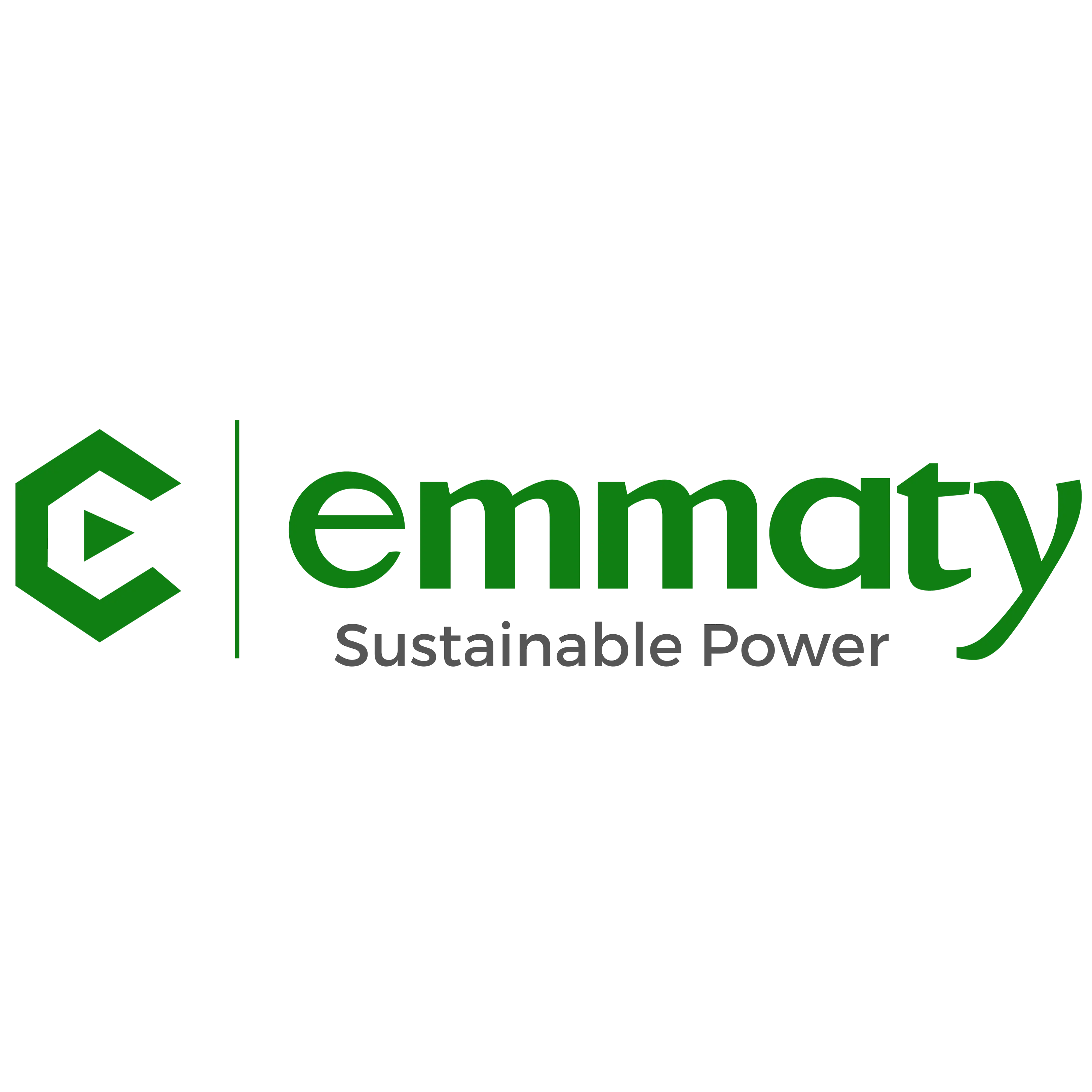 EMMATY INC