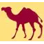 CAMEL TECHNOLOGIES LLC