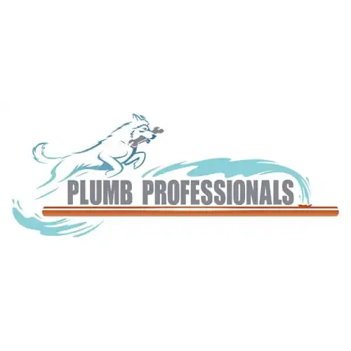 PLUMB PROFESSIONALS  LLC