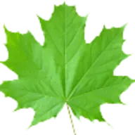 New Image Tree Services LLC