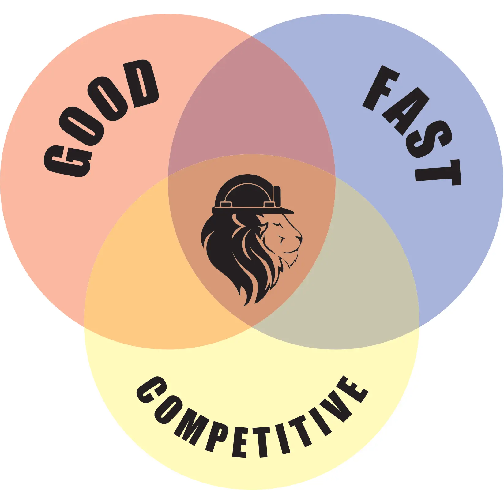 Lion Joint Ventures LLC