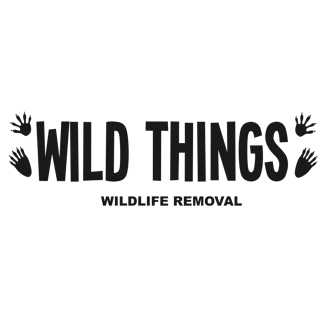 Wild Things Wildlife Removal