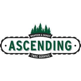ASCENDING TREE SERVICE LLC
