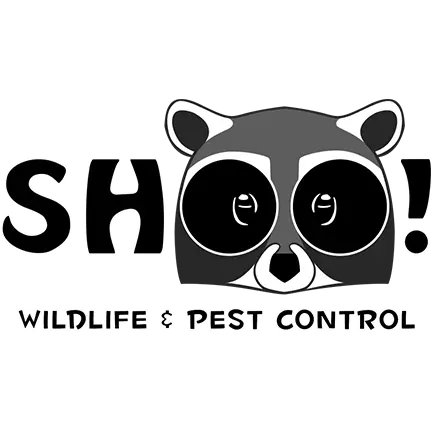 ShOO! Wildlife & Pest Control