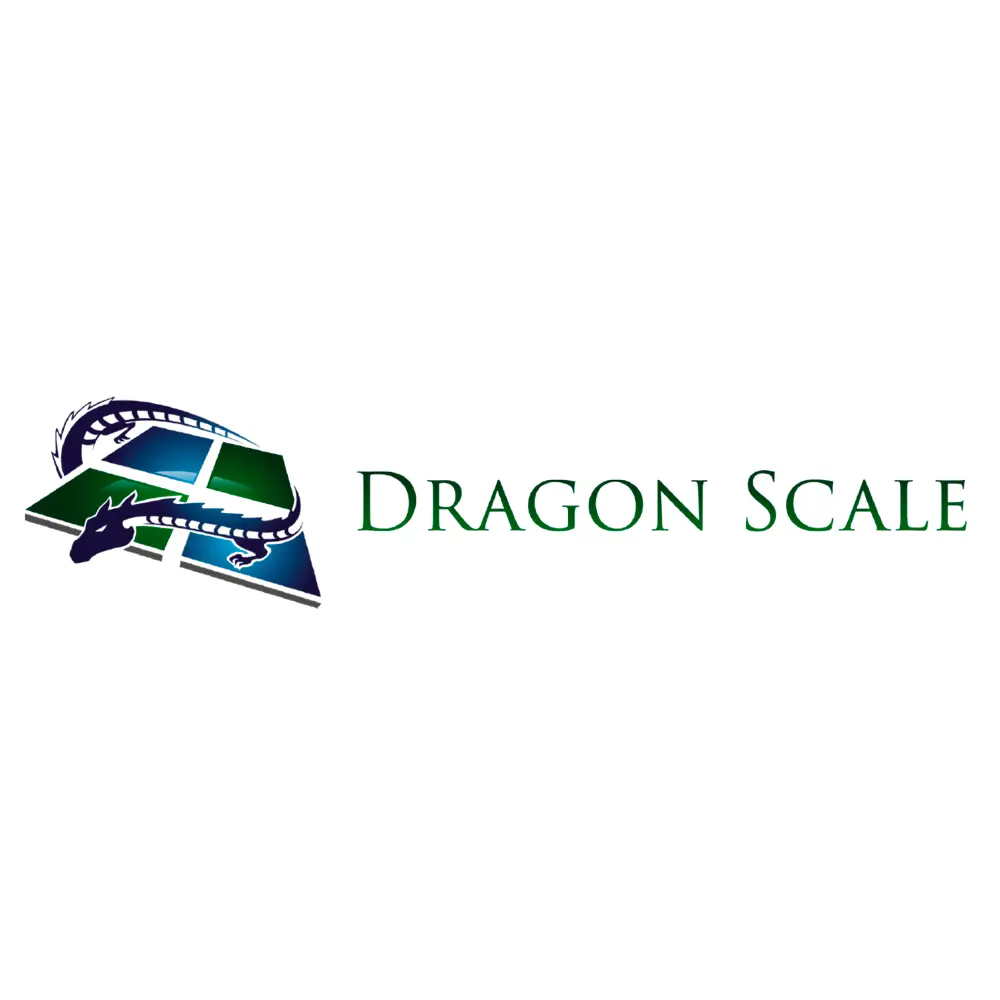 DRAGON SCALE CONSTRUCTION INC