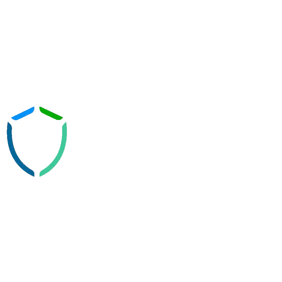 Blueram Technology Solutions, Inc