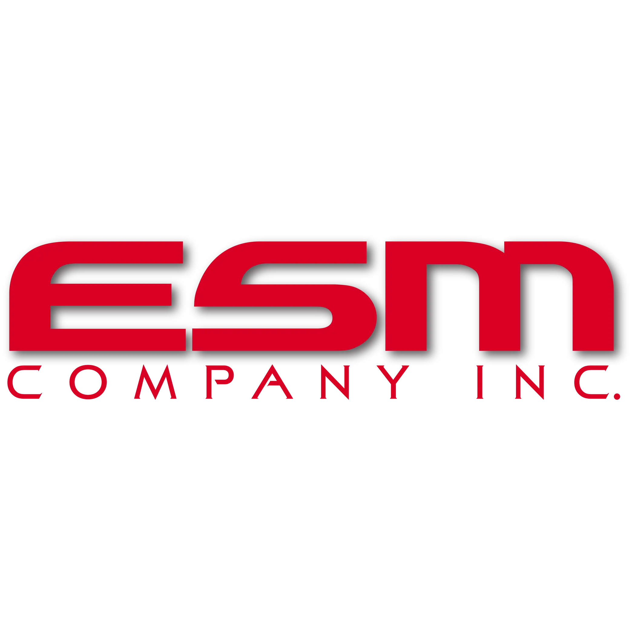 ESM Company Inc