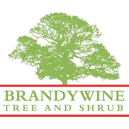Brandywine Tree & Shrub