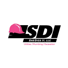 SHEDIGS IT LLC