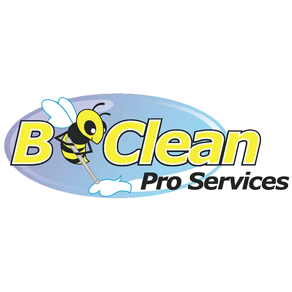 B Clean Pro Services