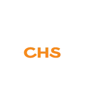 The CHS Group, Inc.
