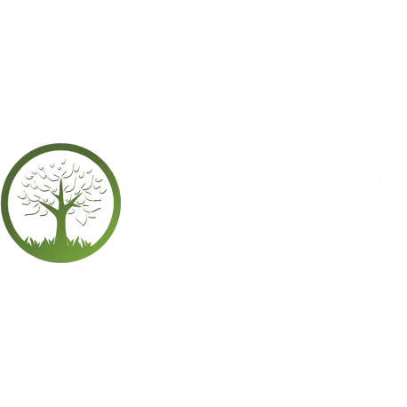 Scott Parry Certified Arborist LLC