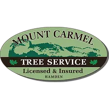 Mount Carmel Tree Service