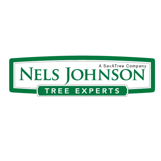 Nels Johnson Tree Experts