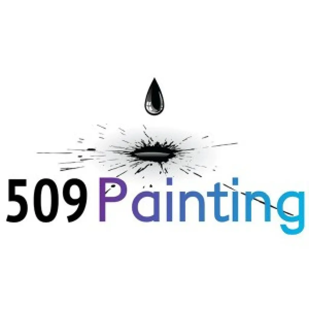 509 PAINTING LLC