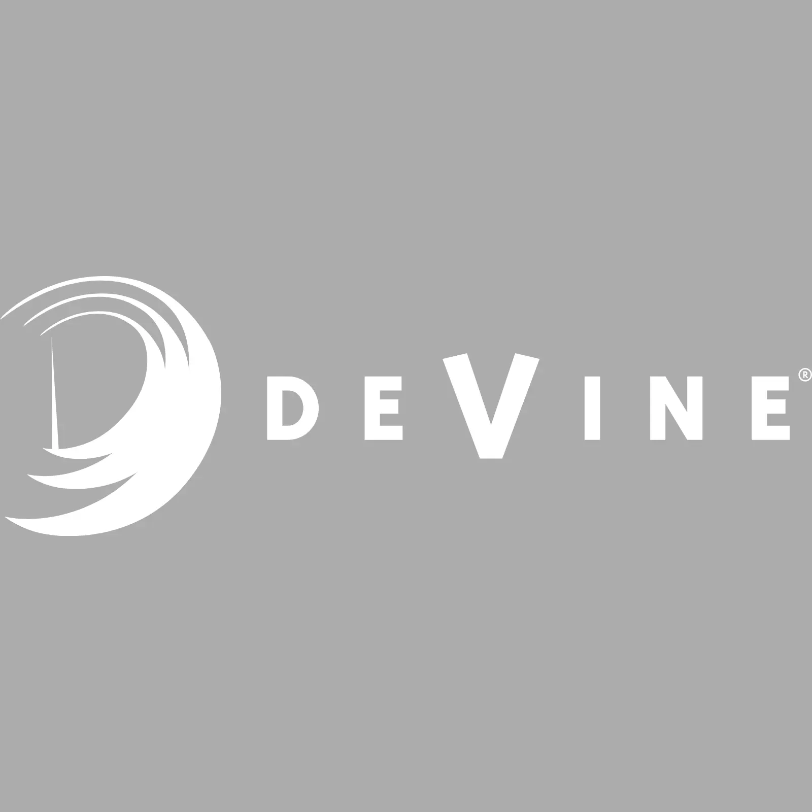 DEVINE CONSULTING, INC.