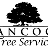 HANCOCK TREE SERVICE, LLC