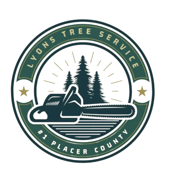 LYONS TREE SERVICE