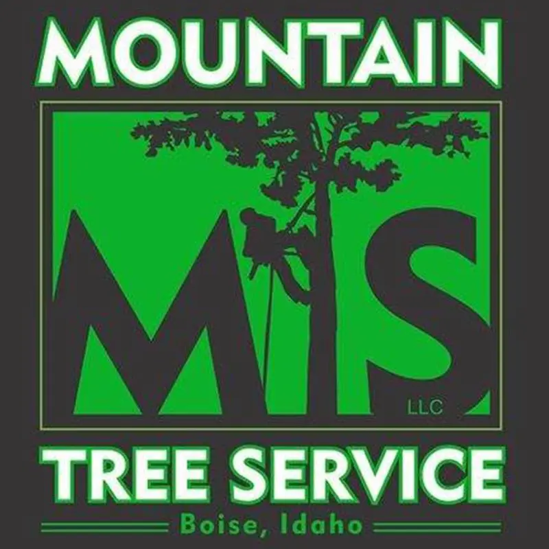 MOUNTAIN TREE SERVICE LLC