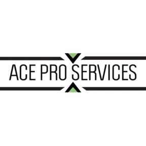 ACE PRO SERVICES LLC