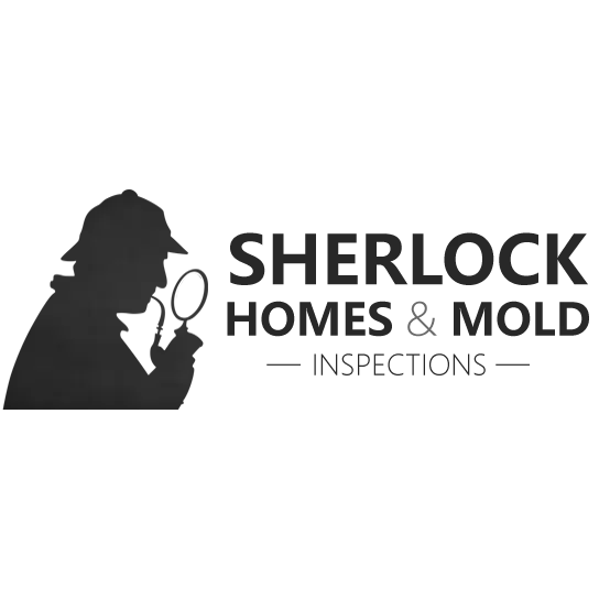 Sherlock Homes & Mold Inspections