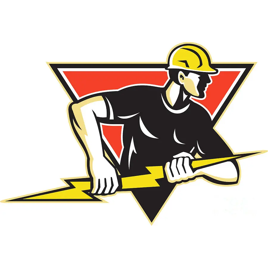 PRO LIGHT ELECTRIC AND ENERGY