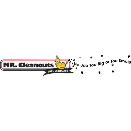 Mr. Cleanouts