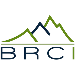 BRC INTERNATIONAL CORPORATION