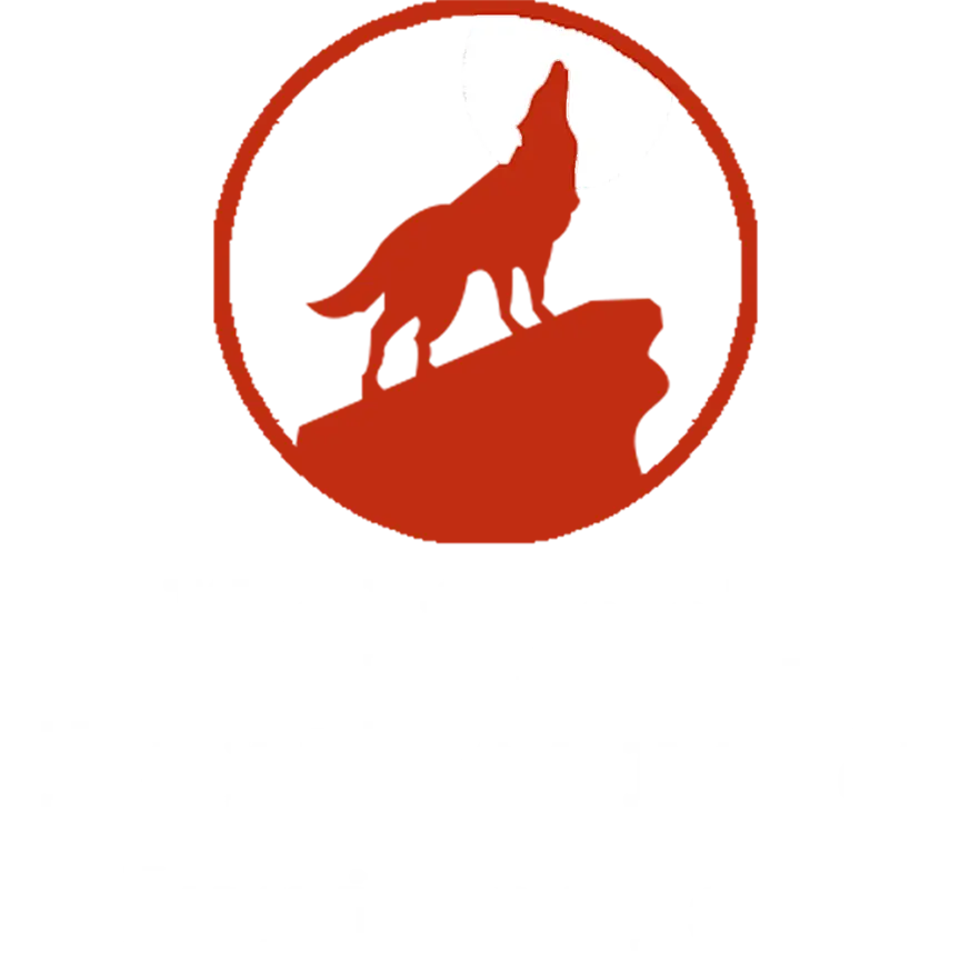 WOLFPACK EARTHCARE & IRRIGATION INC