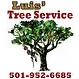 Luis's Tree Service