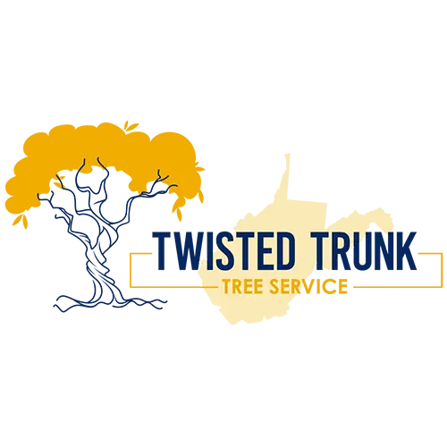 TWISTED TRUNK LLC