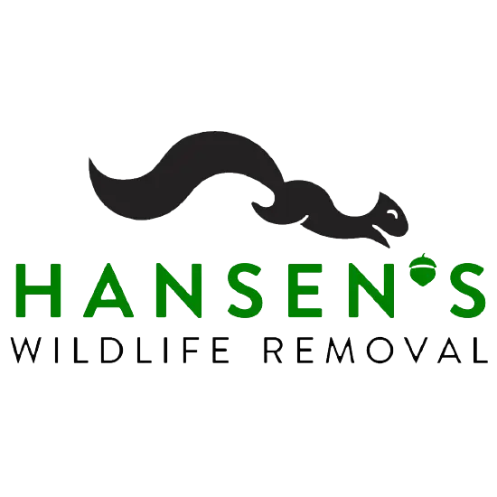 Hansen's Wildlife Removal